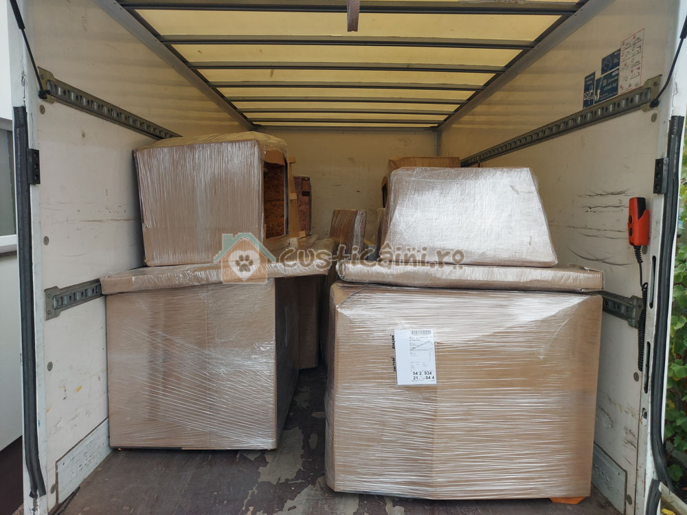 Custi caini ambalate si Incarcate in masina de curierat